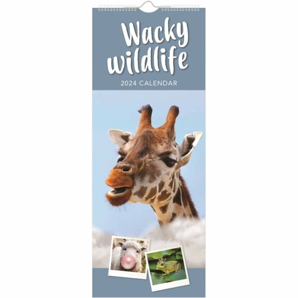 Wacky Wildlife Slim Calendar 2024 Calendars Store