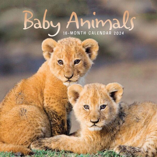 Baby Animals Mini Calendar 2024