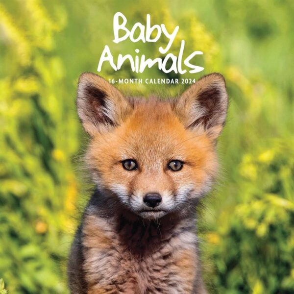 Baby Animals Calendar 2024
