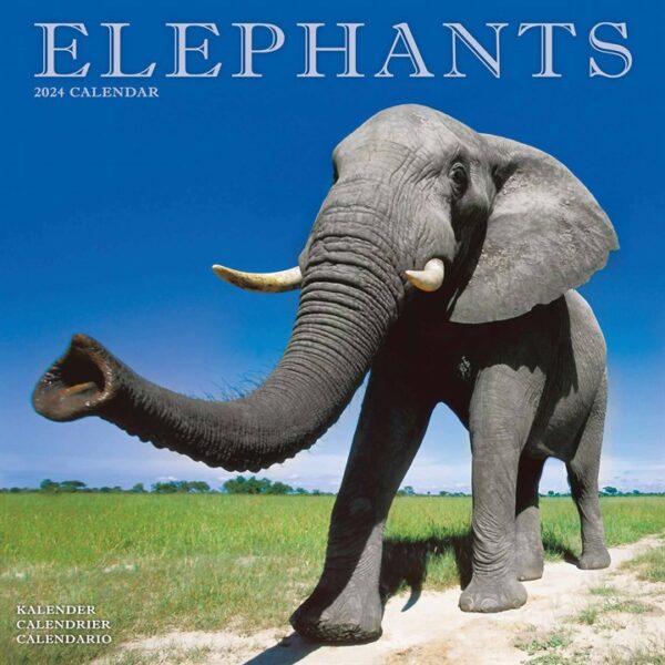 Elephants Calendar 2024