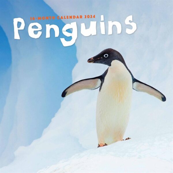 Penguins Calendar 2024
