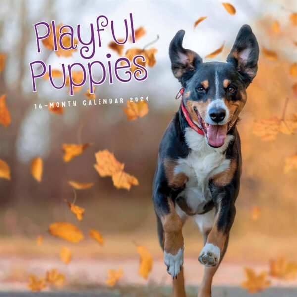 Playful Puppies Calendar 2024