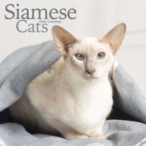 Siamese Cats Calendar 2024