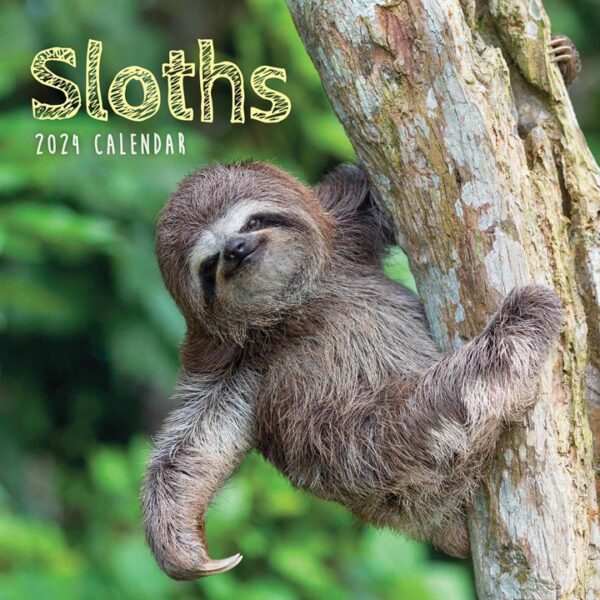 Sloths Mini Calendar 2024