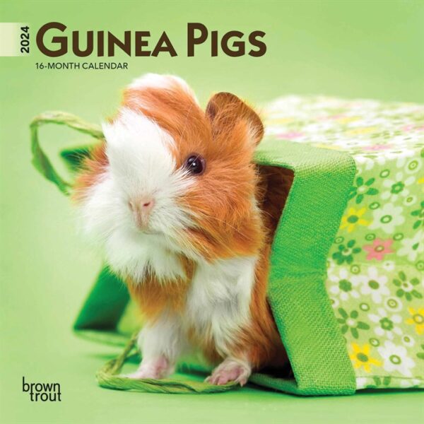 Guinea Pigs Mini Calendar 2024