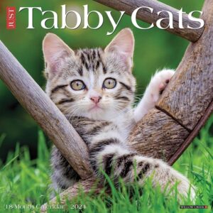 Just Tabby Cats Calendar 2024