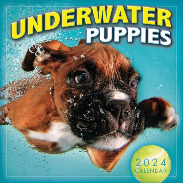 Underwater Puppies Mini Calendar 2024 Calendars Store