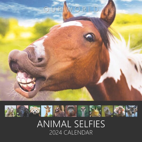 Animal Selfies Calendar 2024 Calendars Store