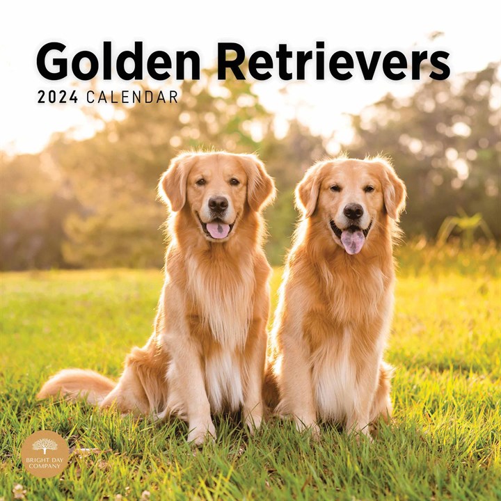 Golden Retrievers Calendar 2024 Calendars Store