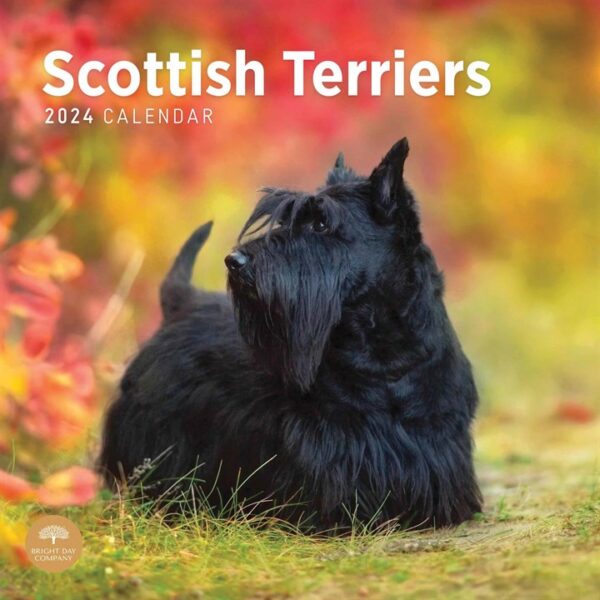 Scottish Terriers Calendar 2024 Calendars Store