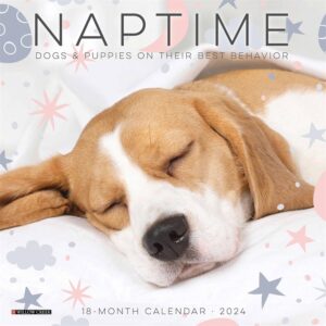 Naptime Dogs Mini Calendar 2024
