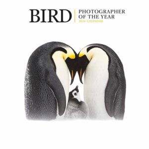 Bird Photographer Of The Year Calendar 2024