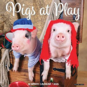 Pigs at Play Calendar 2025