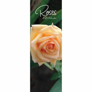 Roses Slim Calendar 2025