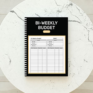 weekly budget book