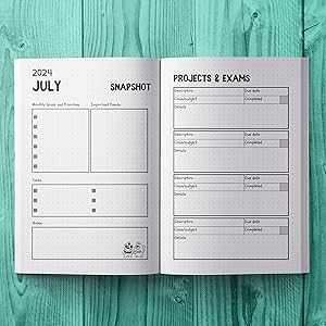 Snapshot page and project and exams page