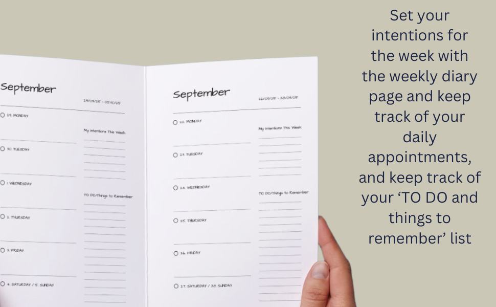 Moon manifestation diary