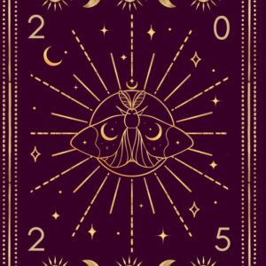 Witches Datebook 2025: Diary with USA holidays, sabbats, tarot, rune casting, spells, meditations, moon phases, astrology tides And More!