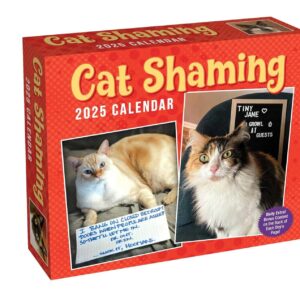 Cat Shaming 2025 Day-to-Day Calendar