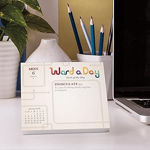 desk calendar 2024-2025 page a day box calendars planner gifts for men women room decor