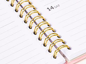 spiral planner 2025-2026