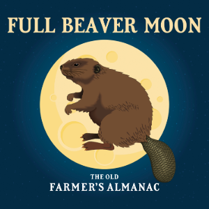 Beaver Moon