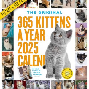 365 Kittens-A-Year Picture-A-Day® Wall Calendar 2025