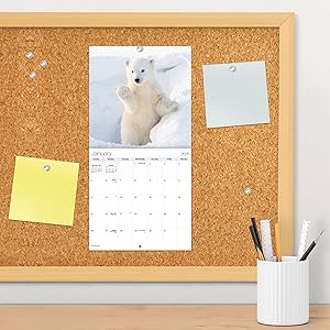 wall calendars 2024-2025 small calendar planner gifts for men women room decor gift