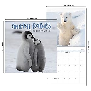 wall calendars 2024-2025 small calendar planner gifts for men women room decor gift