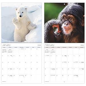 wall calendars 2024-2025 small calendar planner gifts for men women room decor gift