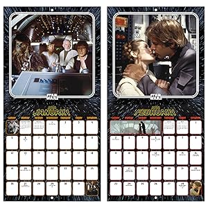 wall calendars 2024-2025 small calendar planner gifts for men women room decor gift