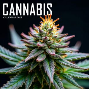 Cannabis Calendar 2025: Celebrate the Beauty and Culture of Cannabis All Year Long