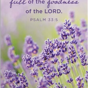 Psalms: 2025-2026 28-Month Inspirational Pocket Planner