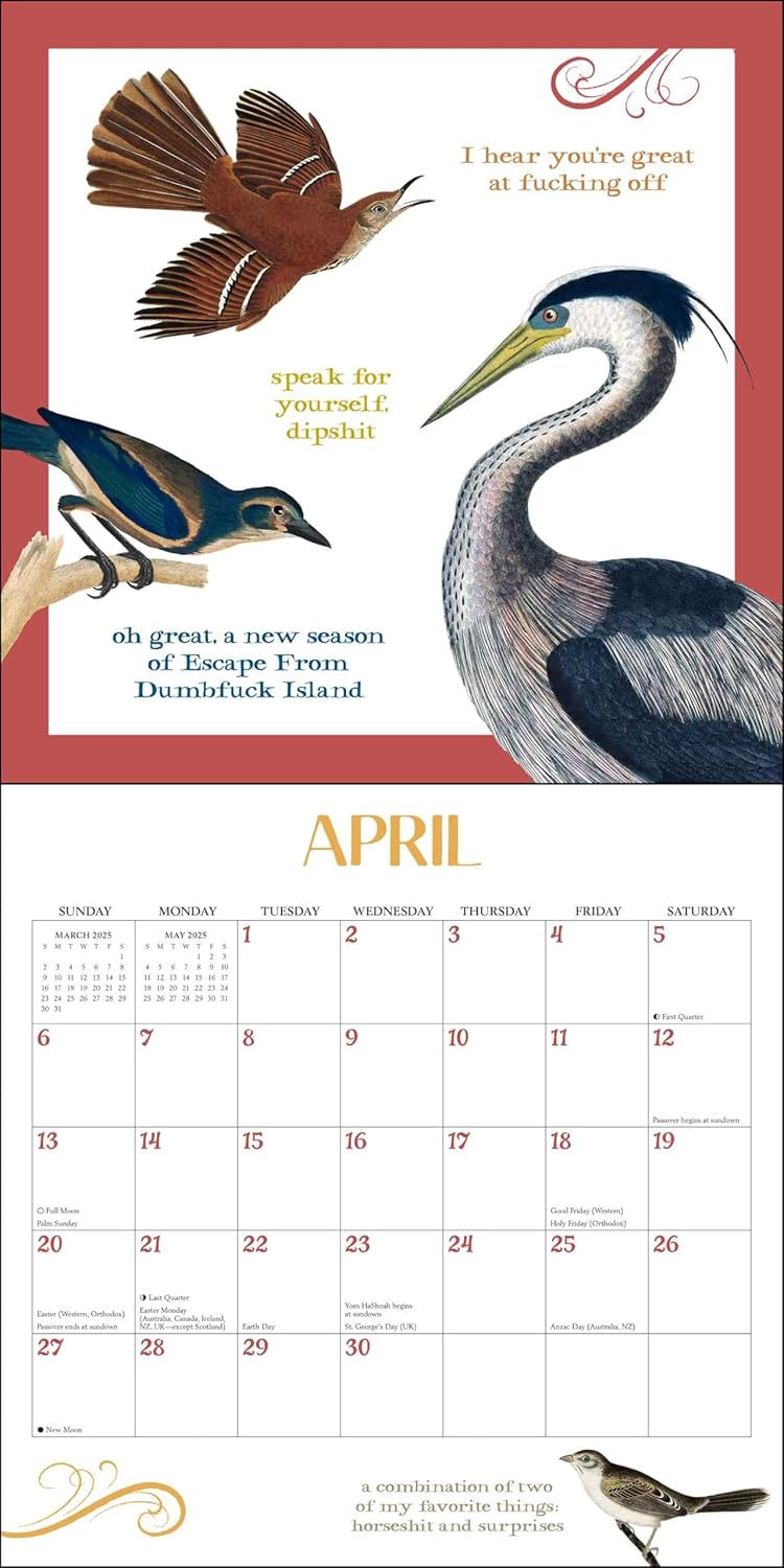 Effin' Birds 2025 Wall Calendar - Image 3