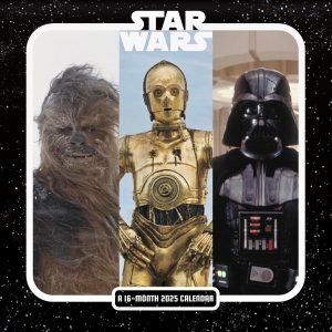 2025 Star Wars: Saga Mini Wall Calendar