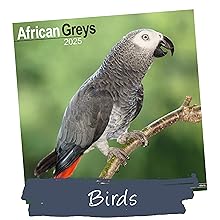 Bird calendar 2025 planner avonside