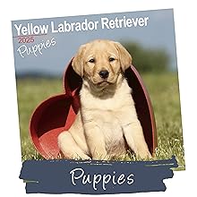 puppy calendar 2025 planner