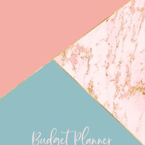 Budget Planner: Weekly and Monthly Financial Organizer | Savings - Bills - Debt Trackers | January - December | Blue & Pink Marble