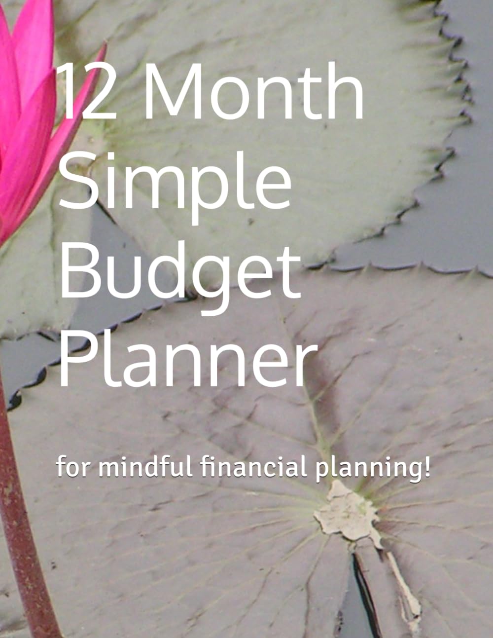 12 Month Simple Budget Planner: for mindful financial planning!