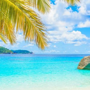 Pocket Calendar 2025-2026: Monthly Planner for purse small size 2 Year Agenda from January 2024 to December 2025 with Inspirational Quotes 6.5x4"