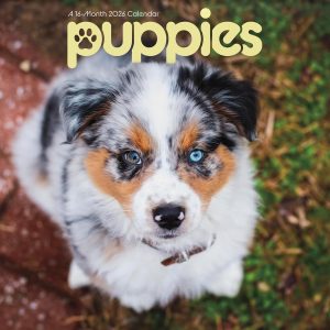 2026 Puppies Mini Wall Calendar