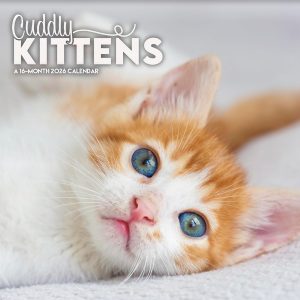 2026 Cuddly Kittens Mini Wall Calendar
