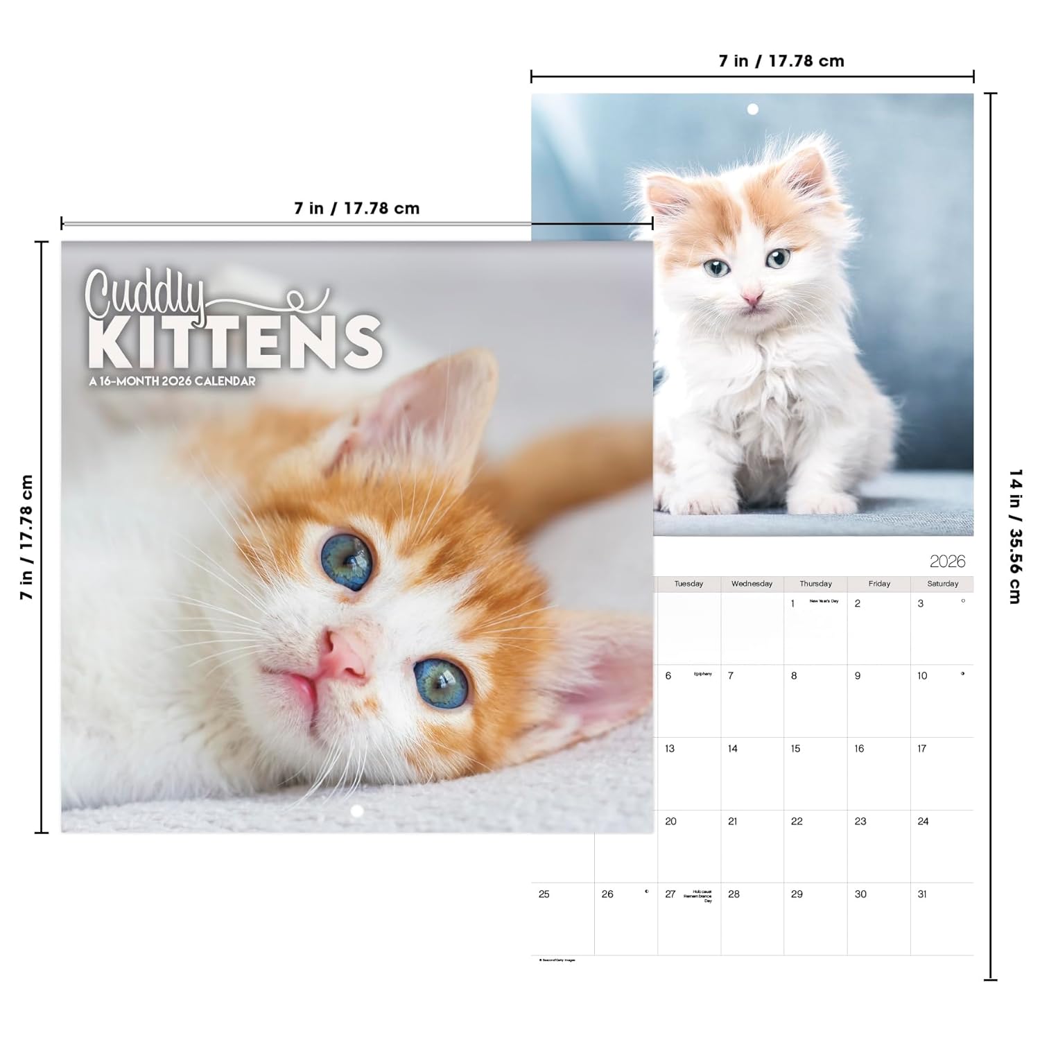 2026 Cuddly Kittens Mini Wall Calendar - Image 7
