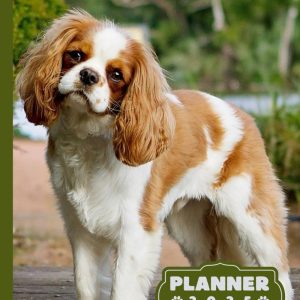 Cavalier King Charles Spaniel planner 2025: monthly and weekly 2025 | Spaniel-themed A4 2025 Diary | From Jan to Dec | Planning Giftable Perfect Gift ... | Animals Dog Breeds Pets (Spanish Edition)