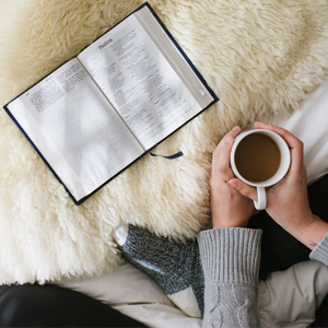 daniel fast,daniel fast cookbook,the daniel plan,the daniel fast,daniel plan,daniel diet