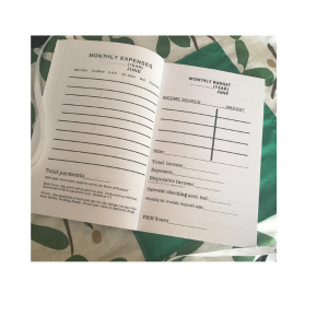 Budget and Expense pages