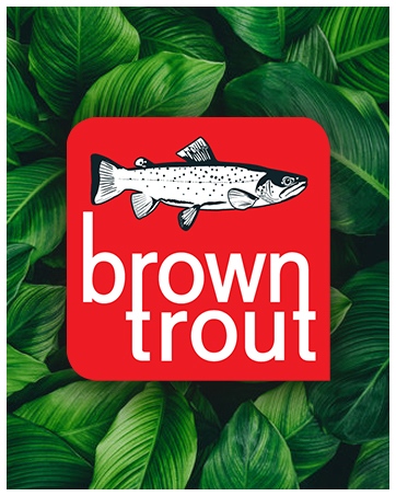 Calendars and Planners for 2025