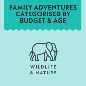 Where To Go When With Kids