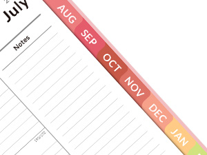 2025 planner with monthly tabs