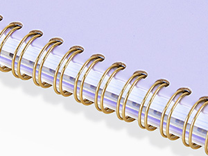 spiral bound planner 2025